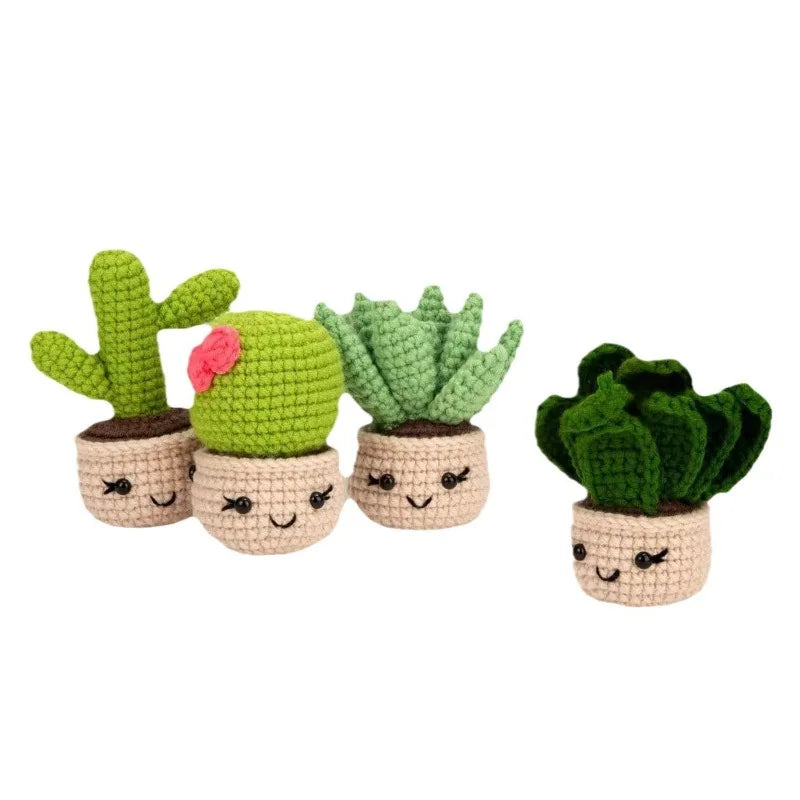 Crochet Kit for Beginners Starter Kits for Adults Craft Knitting  with Step-by-Step Video Tutorials Hanging Potted Plants Family